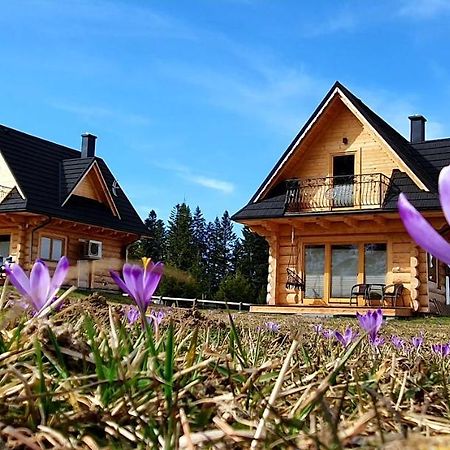 Jedroskowe Chatki Witów Exteriér fotografie