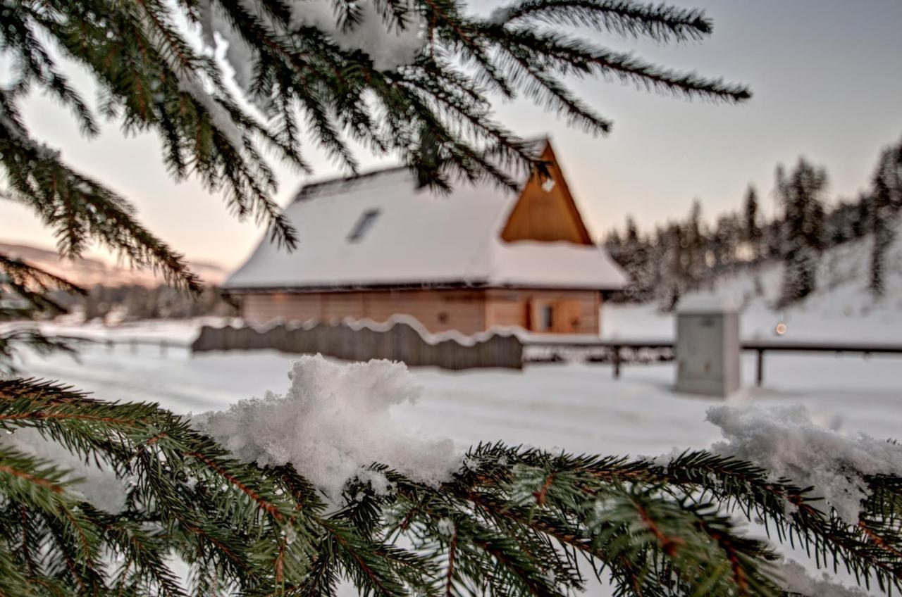 Jedroskowe Chatki Witów Exteriér fotografie