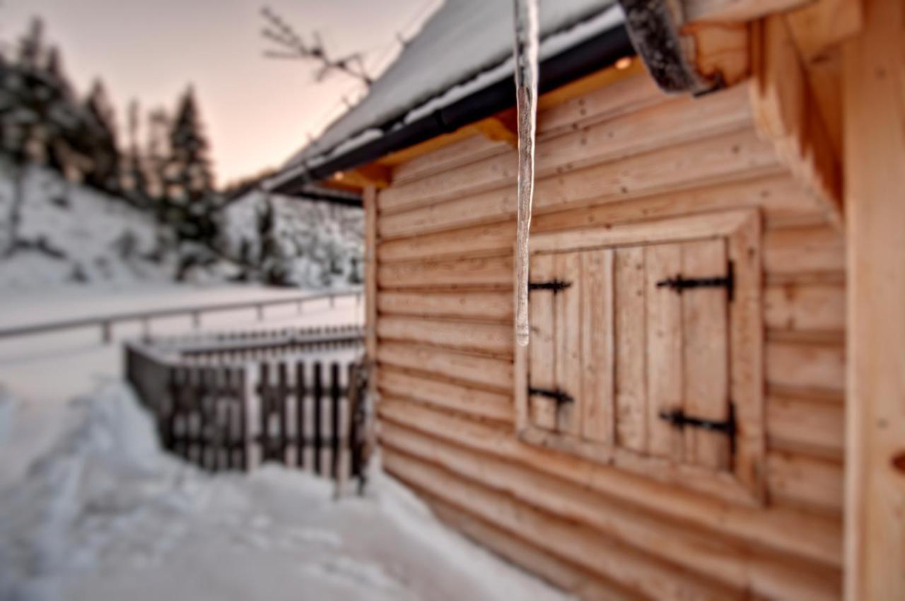 Jedroskowe Chatki Witów Exteriér fotografie