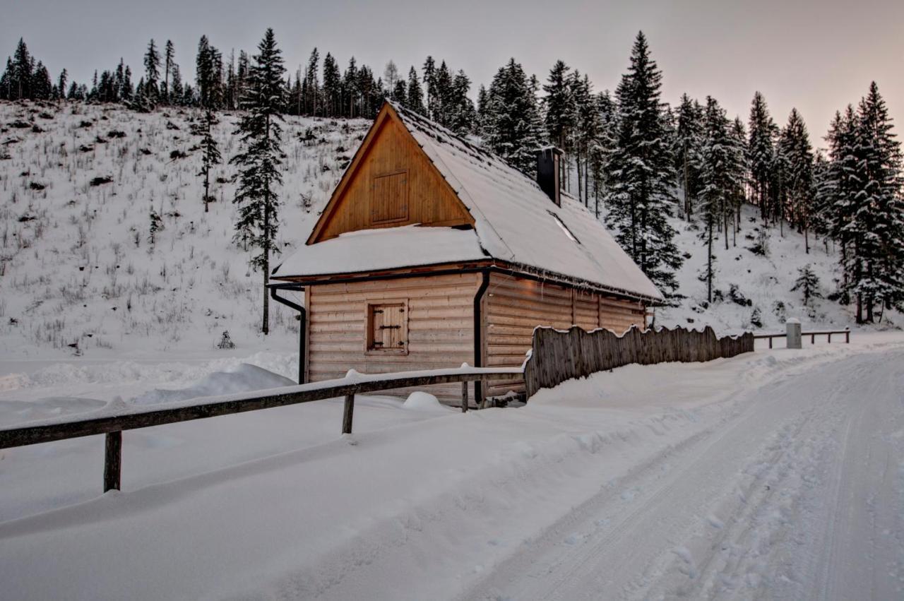 Jedroskowe Chatki Witów Exteriér fotografie