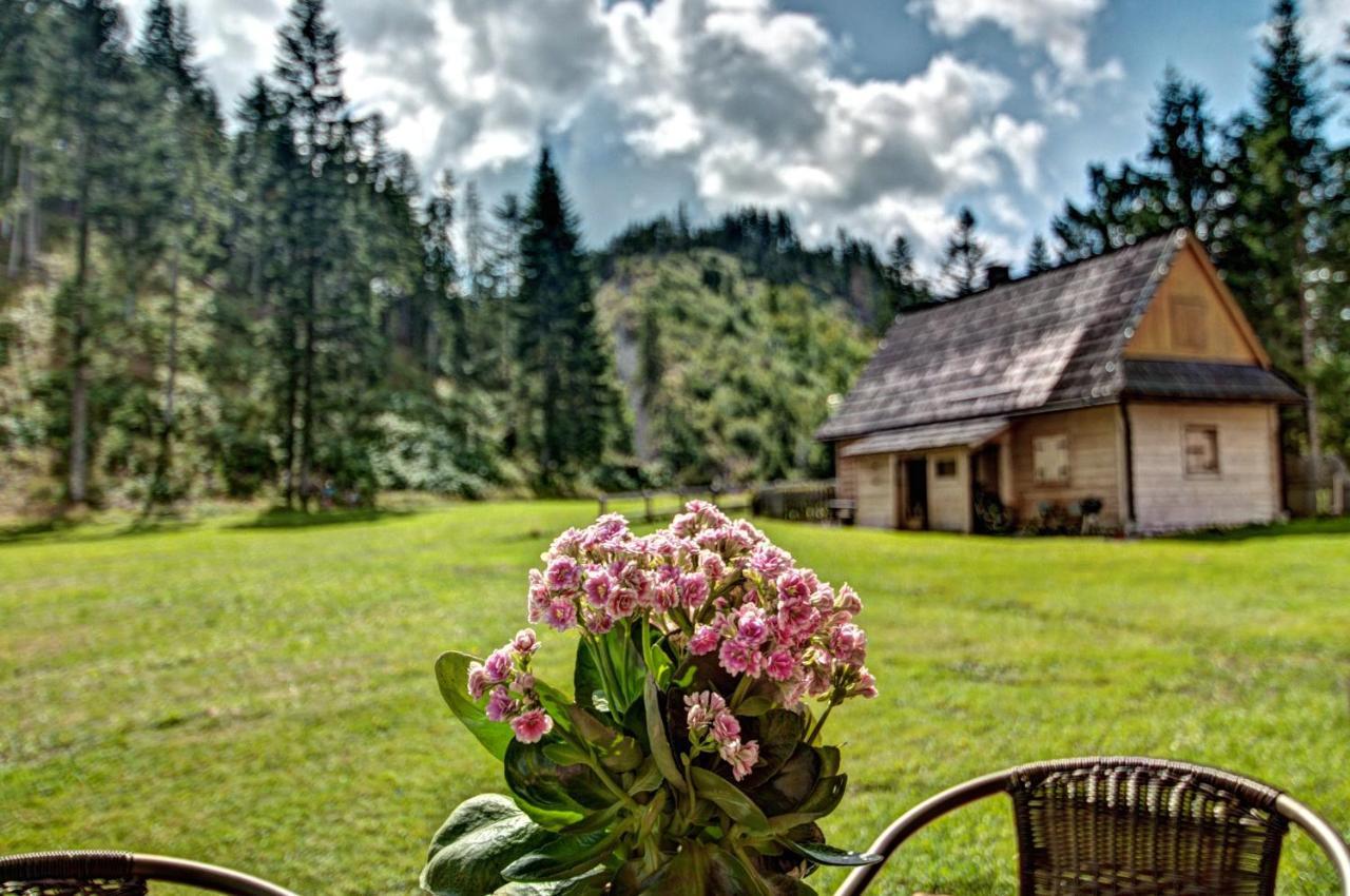 Jedroskowe Chatki Witów Exteriér fotografie