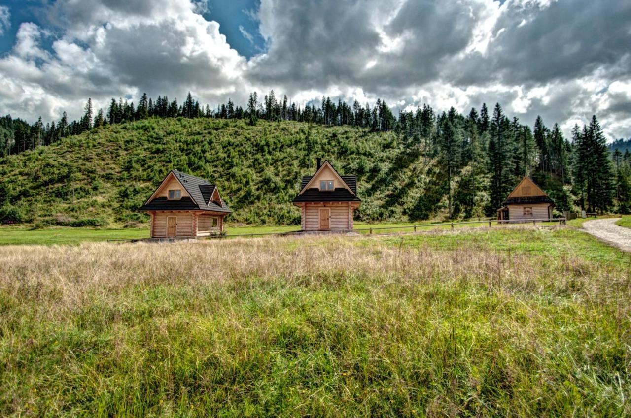 Jedroskowe Chatki Witów Exteriér fotografie