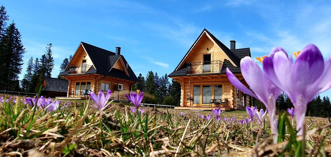 Jedroskowe Chatki Witów Exteriér fotografie