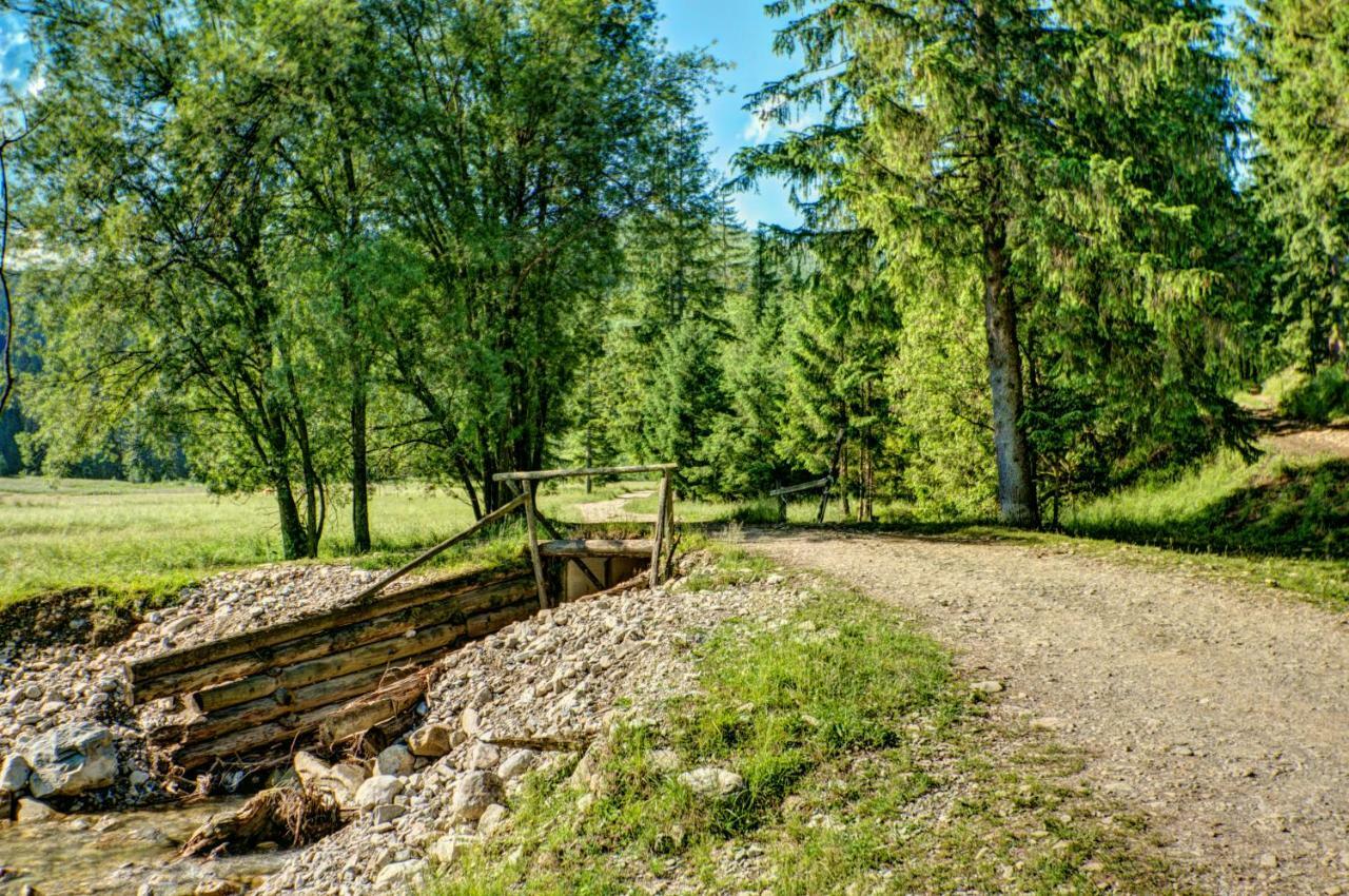 Jedroskowe Chatki Witów Exteriér fotografie