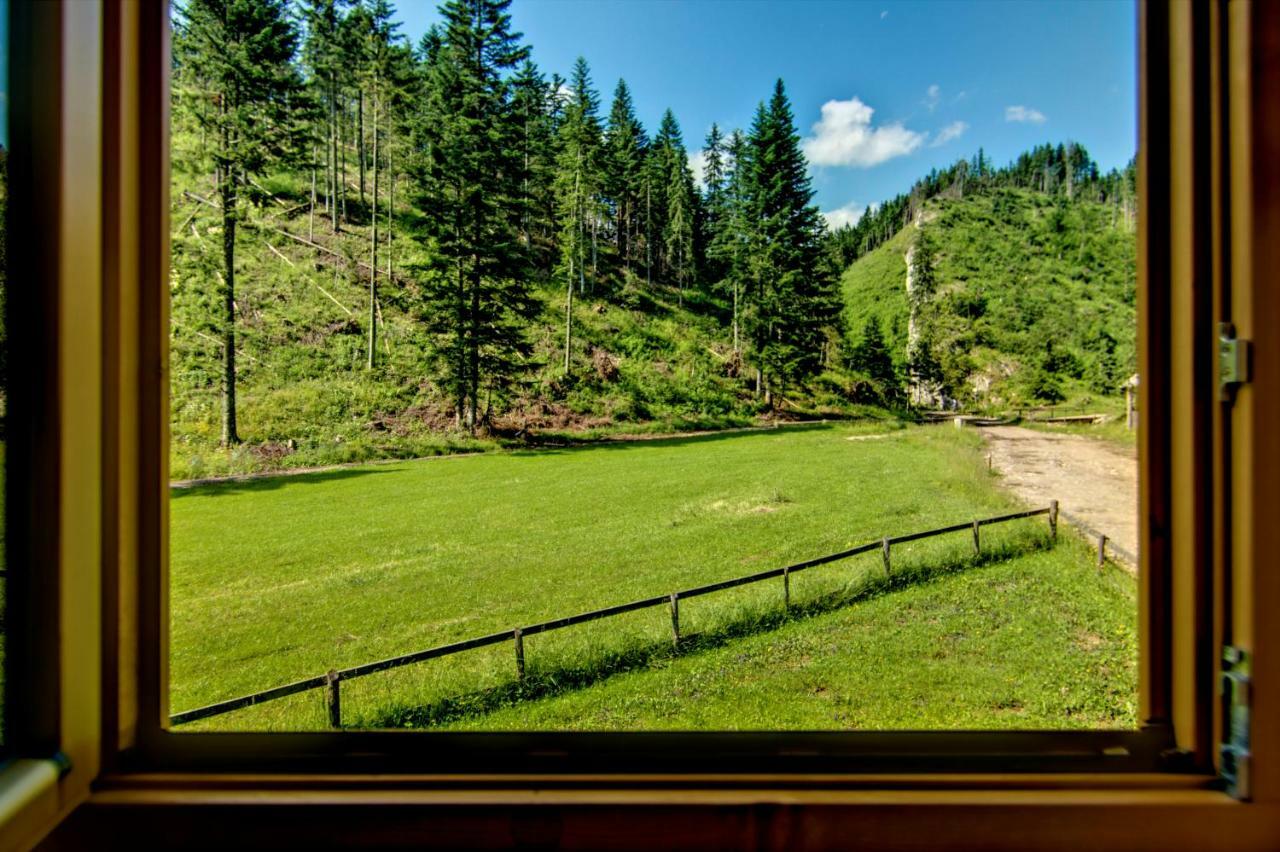 Jedroskowe Chatki Witów Exteriér fotografie